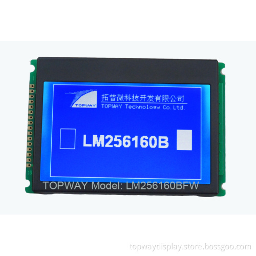 COG Type LCD Module LM256160B